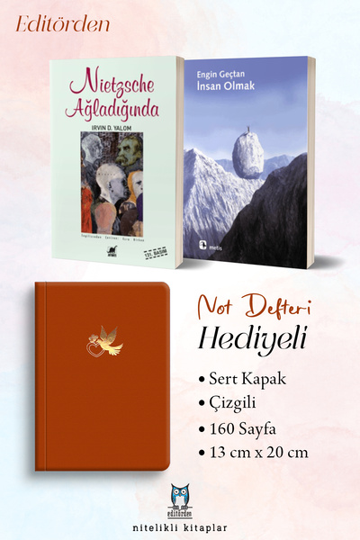 Ayrıntı Yayınları Nietzsche Ağladığında - İnsan Olmak/Engin Geçtan