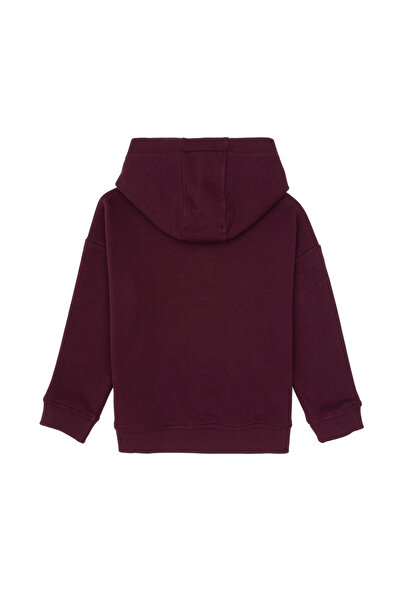 U.S. Polo Assn. Boy's Claret Red Hooded Basic Sweatshirt 50313941-Vr177