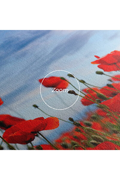 Arthub Canvas Painting, Bedroom And Living Room, Flowers, Poppy Field