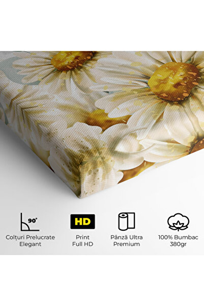 Arthub Canvas Painting, Bedroom And Living Room, Flowers, Beautiful Daisy Art