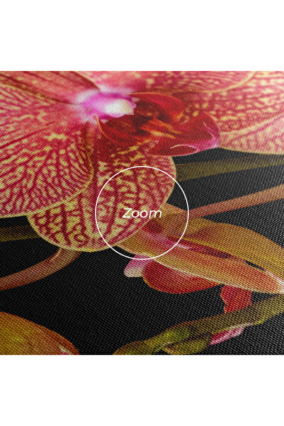 Arthub Canvas Painting, Bedroom And Living Room, Flowers, Pink Orchids On Black