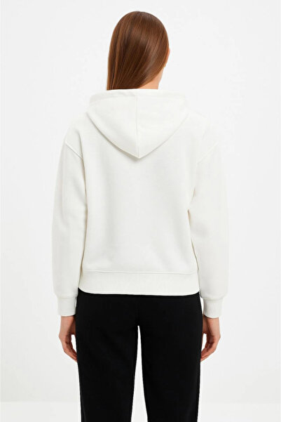 JANES Oversized Hooded Sweatshirt Hoodie 3 Thread Ş Fleece-Lined Cotton Fabric, Front B Printed Zipper Ra