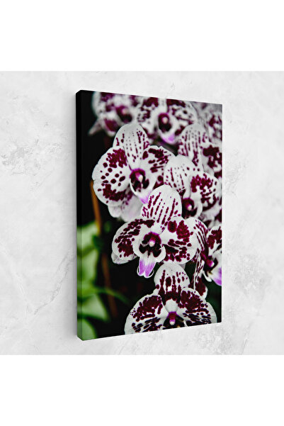 Arthub Canvas Painting, Bedroom And Living Room, Flowers, Dark Purple Orchids