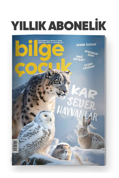 Bilge Çocuk Dergisi Bilge Çocuk - Yıllık Abonelik