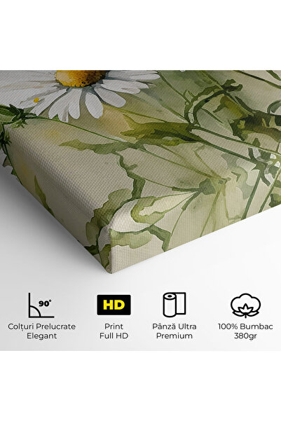 Arthub Canvas Painting, Bedroom And Living Room, Flowers, Painted Daisy