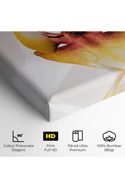 Arthub Canvas Painting, Bedroom And Living Room, Flowers, Orchid Close Up