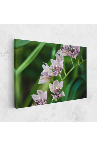Arthub Canvas Painting, Bedroom And Living Room, Flowers, Cymbidium Orchid