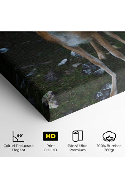 Arthub Canvas Painting, Bedroom And Living Room, Landscapes, Forest Cute Deer