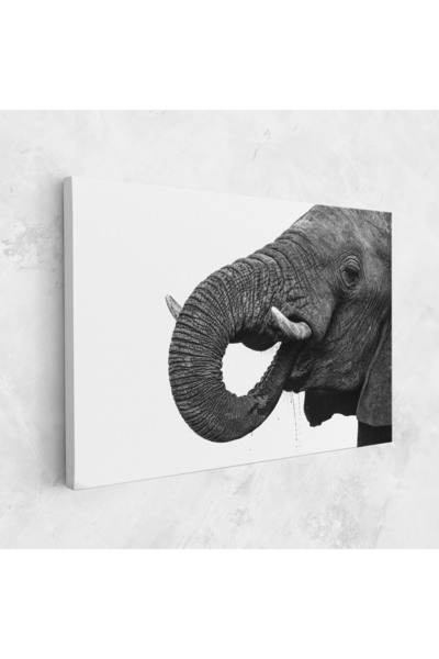 Arthub Tablou Canvas, Dormitor Si Living, Moderne, Elephant Drinking