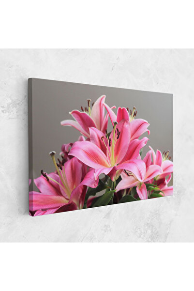Arthub Tablou Canvas, Dormitor Si Living, Flori, Light Pink Lily View