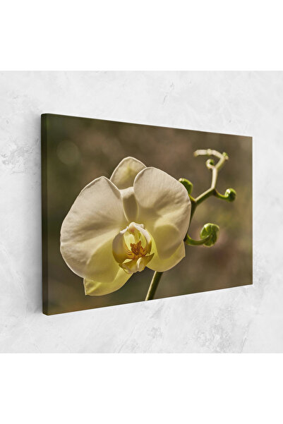 Arthub Canvas Painting, Bedroom And Living Room, Flowers, Pastel Yellow Orchid In Garden