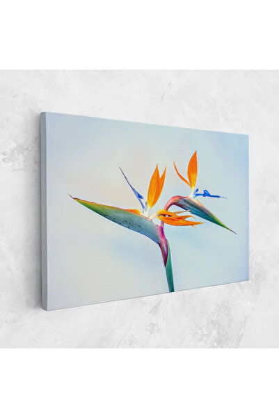 Arthub Canvas Painting, Bedroom And Living Room, Flowers, Green Orange Exotic