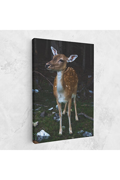 Arthub Canvas Painting, Bedroom And Living Room, Landscapes, Forest Cute Deer