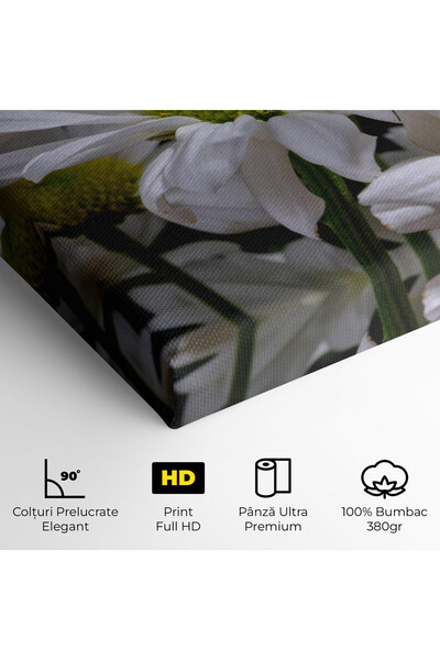 Arthub Canvas Painting, Bedroom And Living Room, Flowers, Green Middle Daisy View