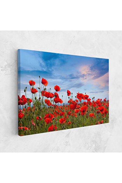 Arthub Canvas Painting, Bedroom And Living Room, Flowers, Poppy Field