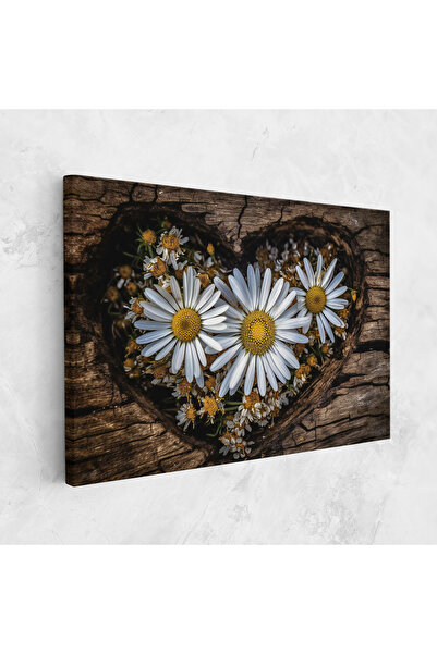Arthub Canvas Painting, Bedroom And Living Room, Flowers, Heart Shaped Daisy