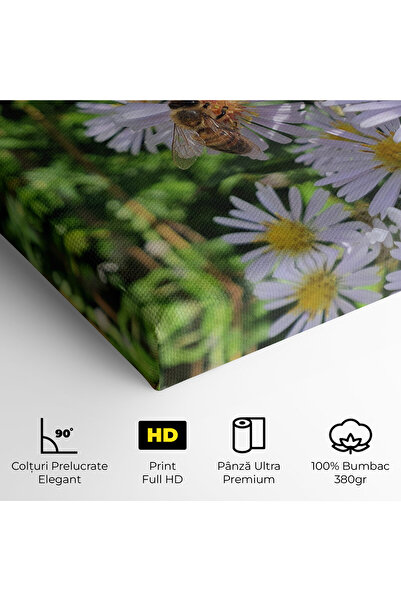 Arthub Canvas Painting, Bedroom And Living Room, Flowers, Bee On Light Purple Daisy