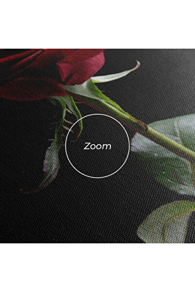 Arthub Canvas Painting, Bedroom And Living Room, Flowers, Beautiful Red Rose