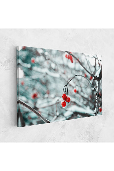 Arthub Canvas Painting, Bedroom And Living Room, Landscapes, Snow Red Fruits