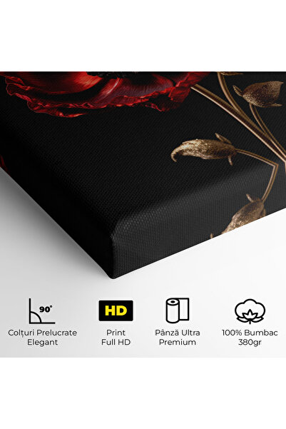 Arthub Canvas Painting, Bedroom And Living Room, Flowers, Dark Red Poppy