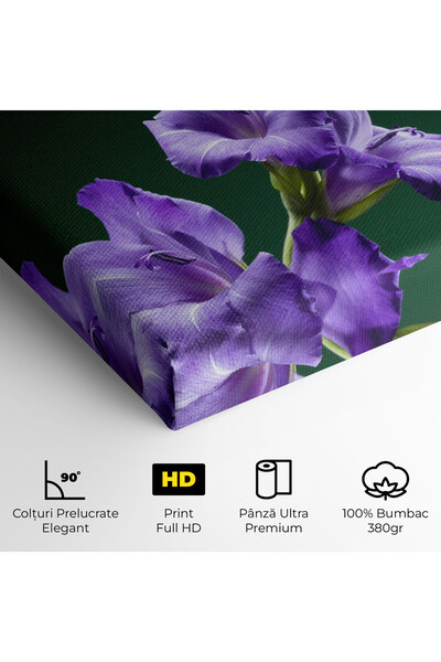 Arthub Canvas Painting, Bedroom And Living Room, Flowers, Iris On Green