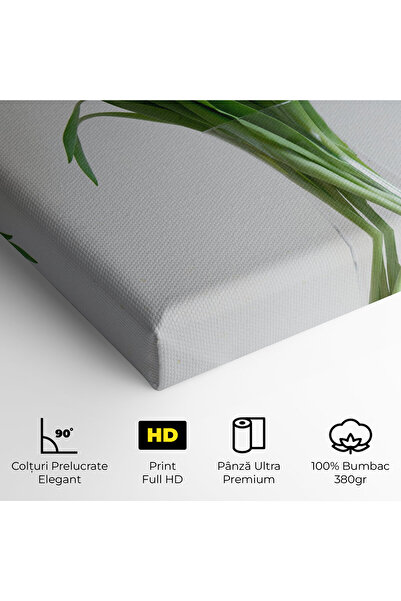 Arthub Canvas Painting, Bedroom And Living Room, Flowers, Pretty Tulips Vases