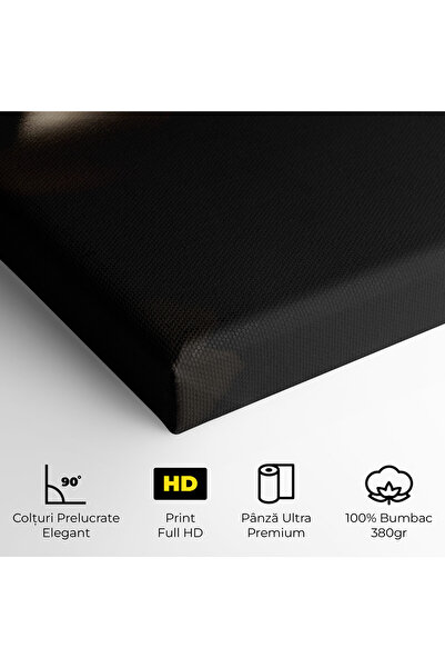 Arthub Canvas Painting, Bedroom And Living Room, Women, Dark Gold Face