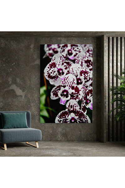 Arthub Canvas Painting, Bedroom And Living Room, Flowers, Dark Purple Orchids
