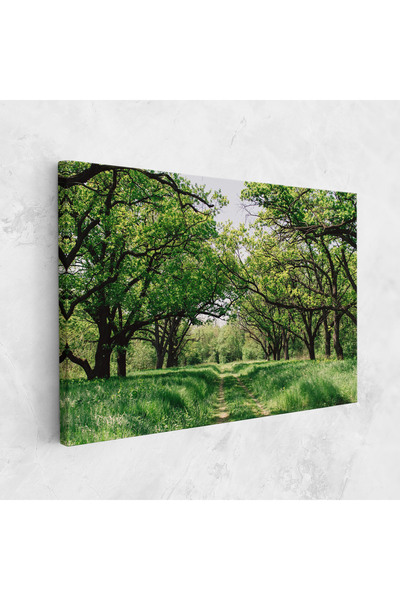 Arthub Canvas Painting, Bedroom And Living Room, Landscapes, Forest Green Path