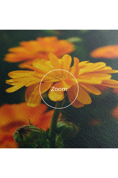 Arthub Canvas Painting, Bedroom And Living Room, Flowers, Garden Orange Flowers