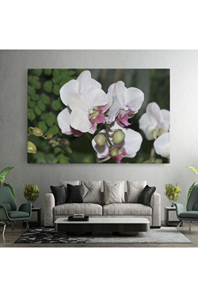 Arthub Canvas Painting, Bedroom And Living Room, Flowers, Orchid Botanical Garden