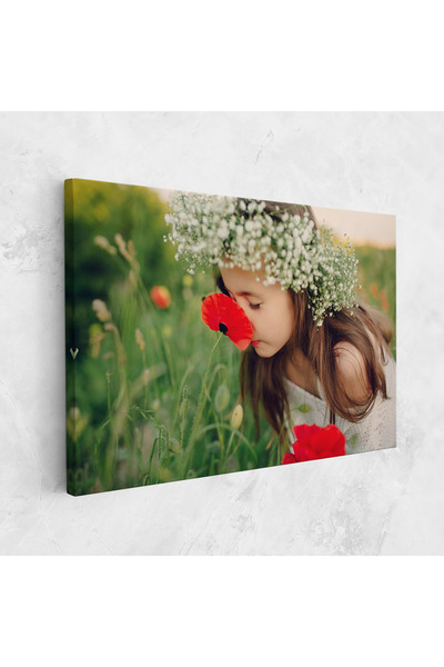 Arthub Canvas Painting, Bedroom And Living Room, Flowers, Girl With Poppies