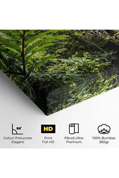 Arthub Canvas Painting, Bedroom And Living Room, Landscapes, Big Leaf Forest