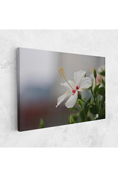 Arthub Canvas Painting, Bedroom And Living Room, Flowers, Exotic White Flower