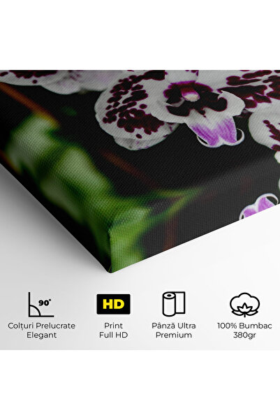 Arthub Canvas Painting, Bedroom And Living Room, Flowers, Dark Purple Orchids