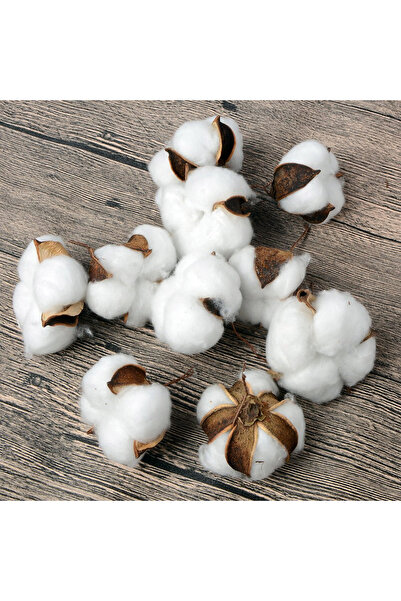 Bimotif 10lu telli pamuk kozası, doğal pamuk dalları