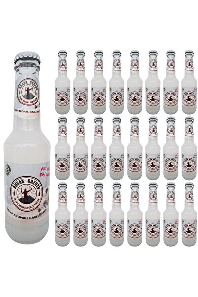 BUCAK GAZOZU BUCAK SALEP AROMALI GAZOZ 250 ML 24 ADET