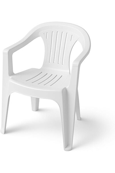 mastergold Durable Plastic Garden & Home Chair with Armrests, 49×54×82 cm