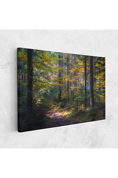 Arthub Canvas Painting, Bedroom And Living Room, Landscapes, Dreamy Path Dorest
