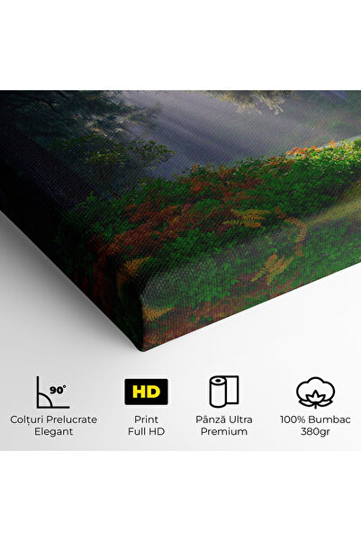 Arthub Canvas Painting, Bedroom And Living Room, Landscapes, Forest Light