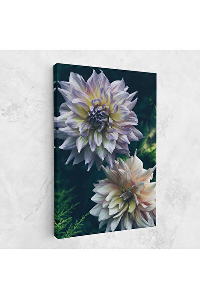 Arthub Canvas Painting, Bedroom And Living Room, Flowers, Dahlia Flowers