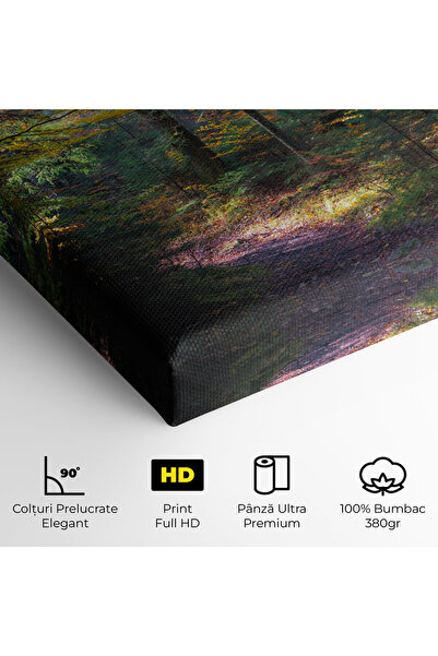 Arthub Canvas Painting, Bedroom And Living Room, Landscapes, Dreamy Path Dorest