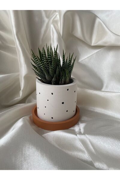 OrganicArtShop OrganicArt Sukulent Saksı (Bitkisiz) Kiremit