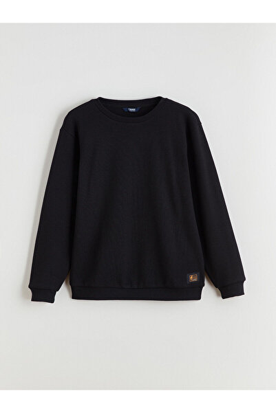 LC Waikiki Crew Neck Boy Knitwear Sweater