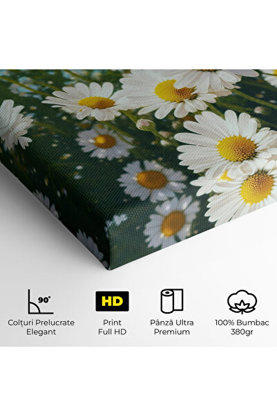 Arthub Canvas Painting, Bedroom And Living Room, Flowers, Daisy Field View