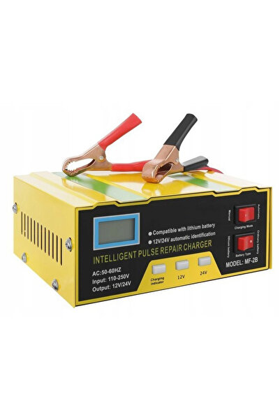 zola Automatic battery charger 24V, input voltage 110-250V, power 180W, size17.5x13.8x6cm