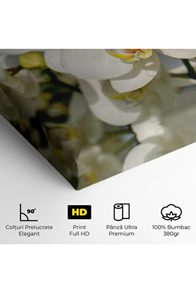 Arthub Canvas Painting, Bedroom And Living Room, Flowers, Big Orchids In Nature