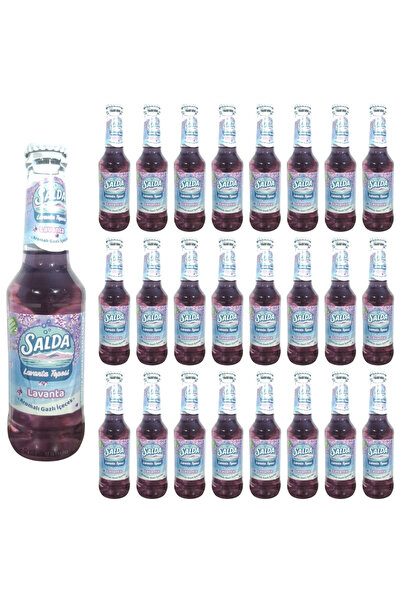 SALDA LAVANTA TEPESİ LAVANTA AROMALI GAZOZ 250 ML X 24 ADET