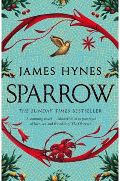Picador Sparrow (Hardback) - James Hynes