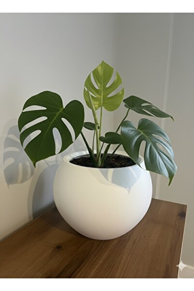 esm vase DEKORATİF KÜRE SAKSI 20X20